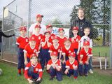 The SellsBrothers Little League Team